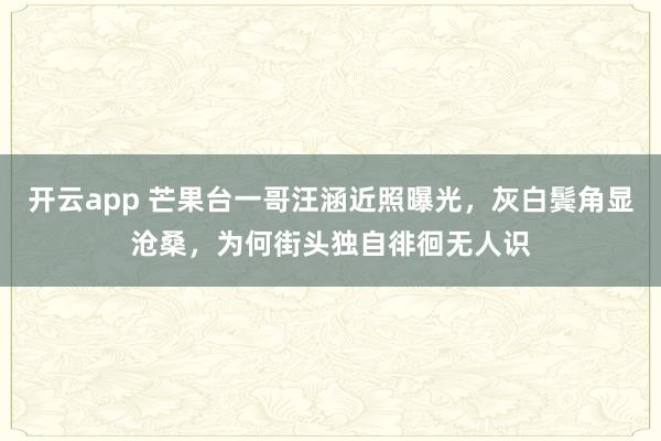开云app 芒果台一哥汪涵近照曝光，灰白鬓角显沧桑，为何街头独自徘徊无人识