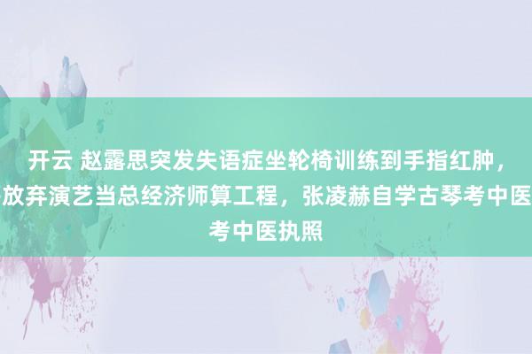 开云 赵露思突发失语症坐轮椅训练到手指红肿，吴磊放弃演艺当总经济师算工程，张凌赫自学古琴考中医执照