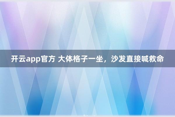 开云app官方 大体格子一坐,沙发直接喊救命