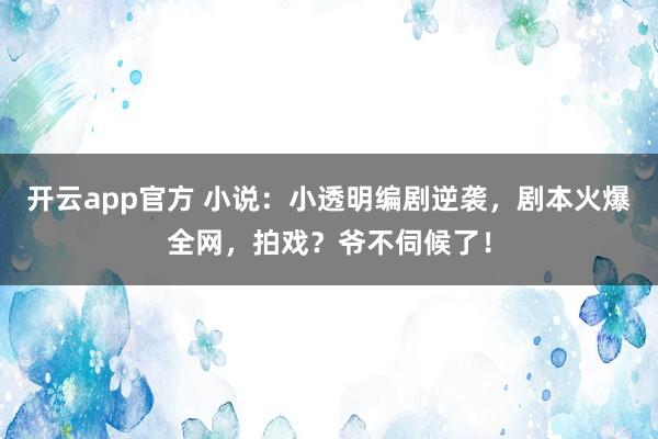 开云app官方 小说:小透明编剧逆袭,剧本火爆全网,拍戏?爷不伺候了!