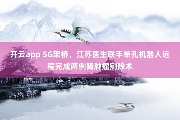 开云app 5G架桥,江苏医生联手单孔机器人远程完成两例肾肿瘤剜除术