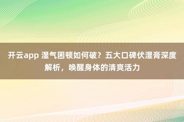开云app 湿气困顿如何破?五大口碑伏湿膏深度解析,唤醒身体的清爽活力