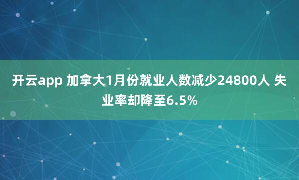 开云app 加拿大1月份就业人数减少24800人 失业率却降至6.5%
