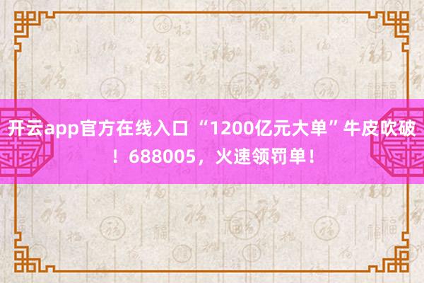 开云app官方在线入口 “1200亿元大单”牛皮吹破！688005，火速领罚单！