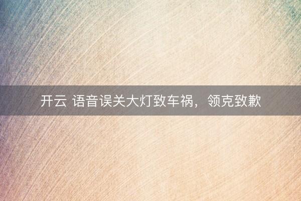 开云 语音误关大灯致车祸，领克致歉